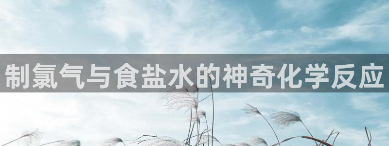 威九国际网站更新