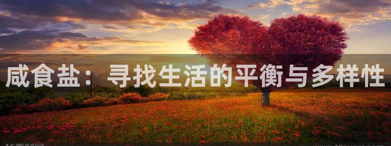 威九国际官网登录入口网站